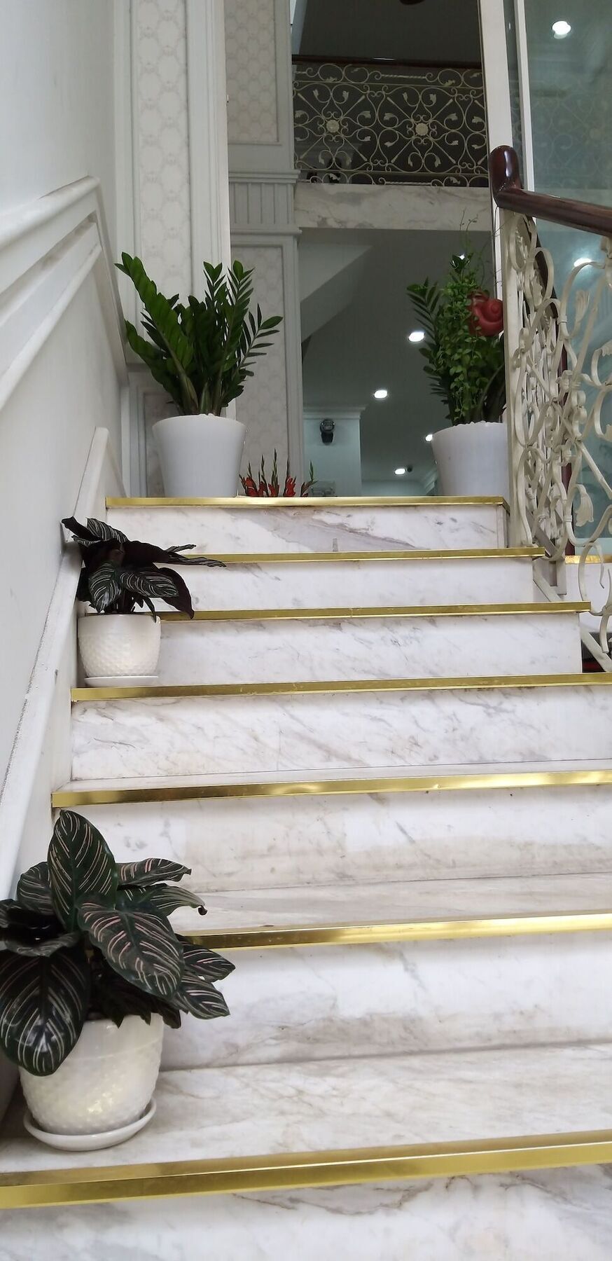 Bao Hotel & Apartment مدينة هوشي منه المظهر الخارجي الصورة